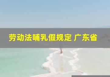 劳动法哺乳假规定 广东省